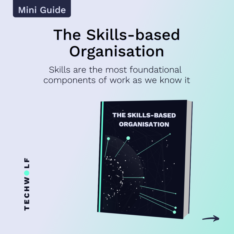 Skills-Based Organisation - Mini Guide